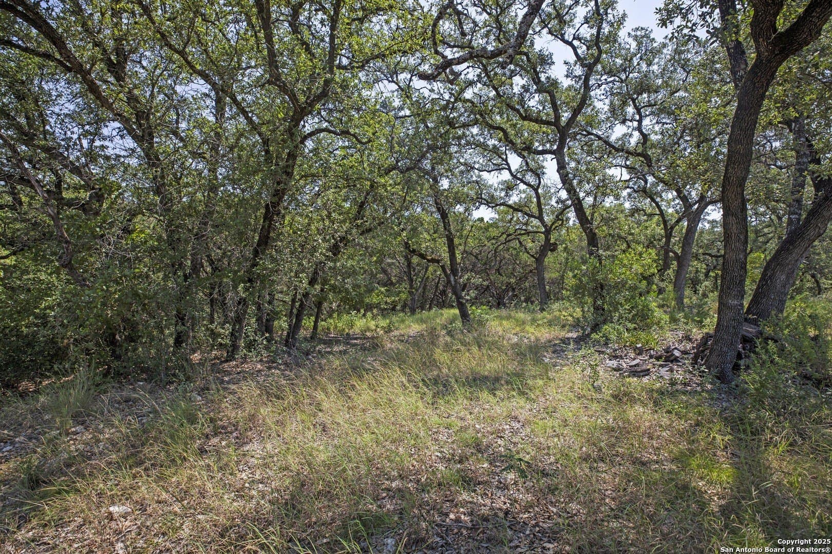 17.6 acres in Bexar County - photo 11