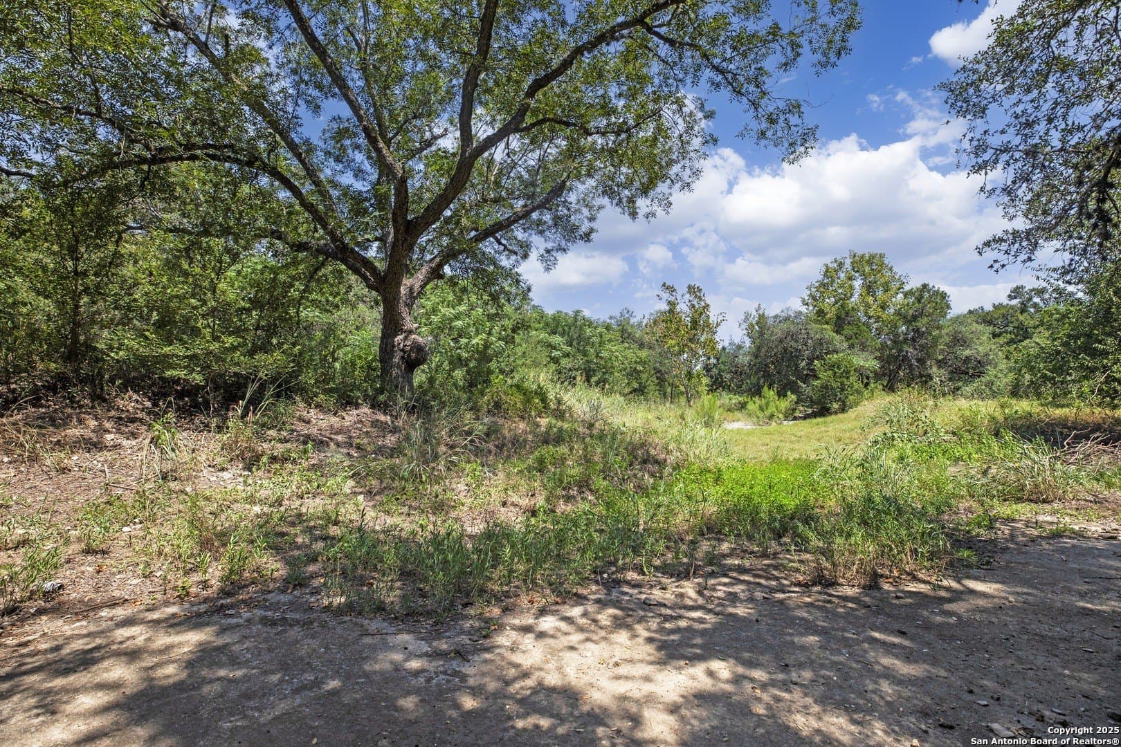 17.6 acres in Bexar County - photo 18