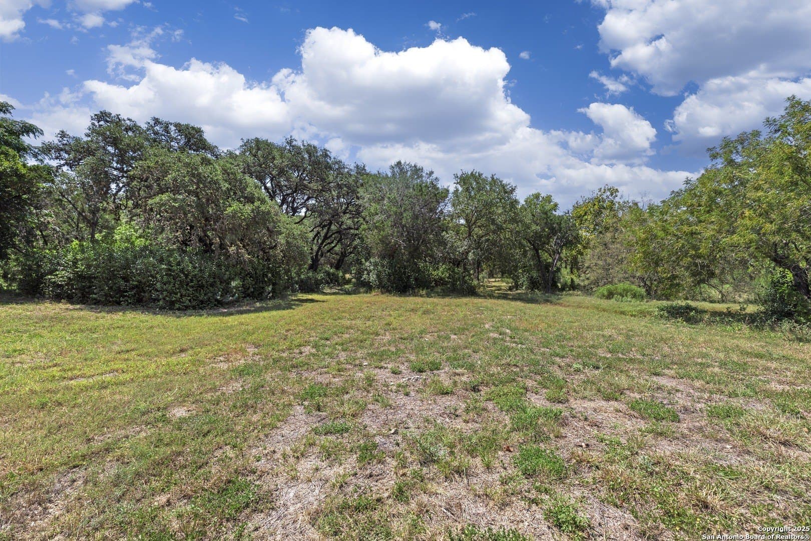 17.6 acres in Bexar County - photo 6