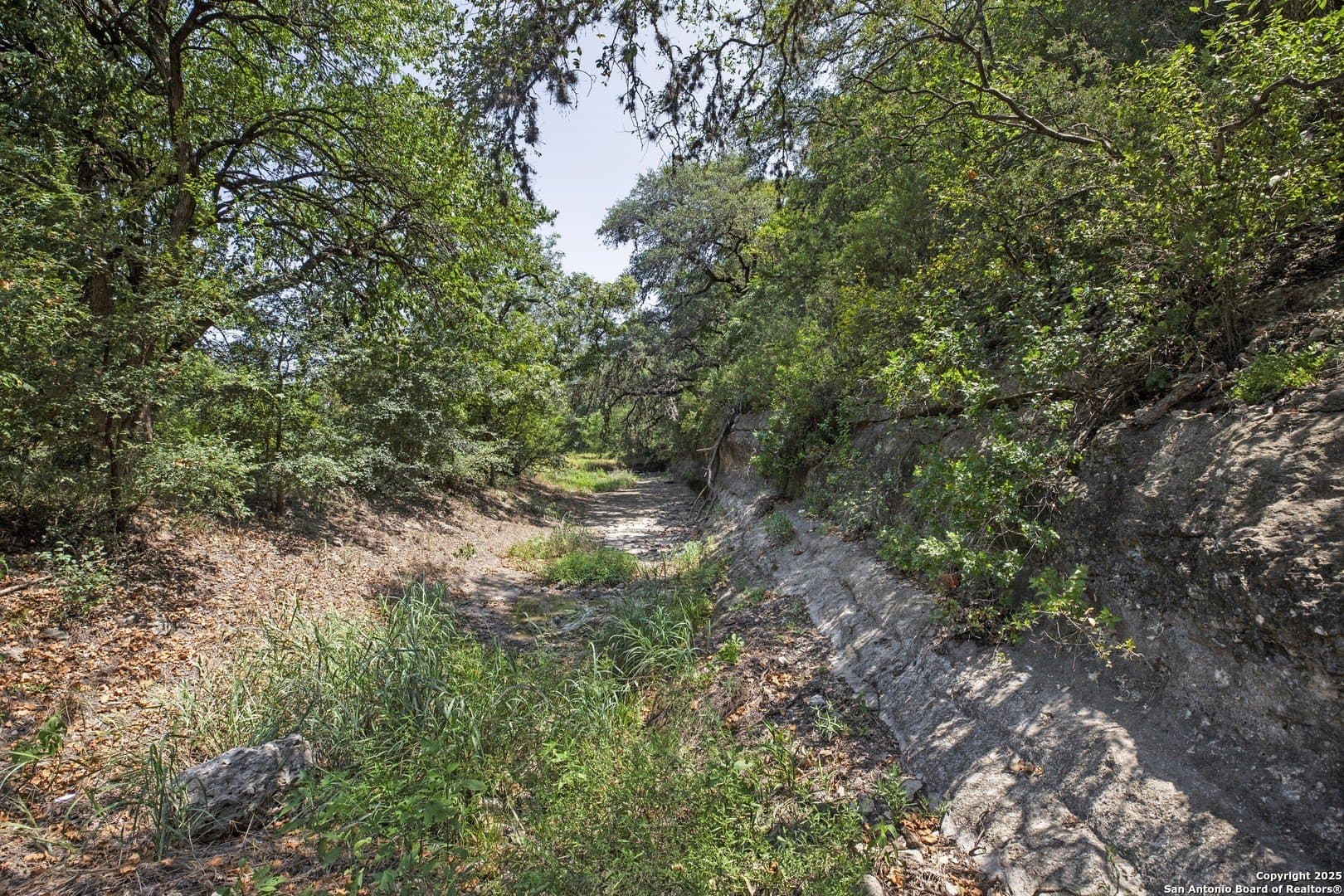 17.6 acres in Bexar County - photo 14