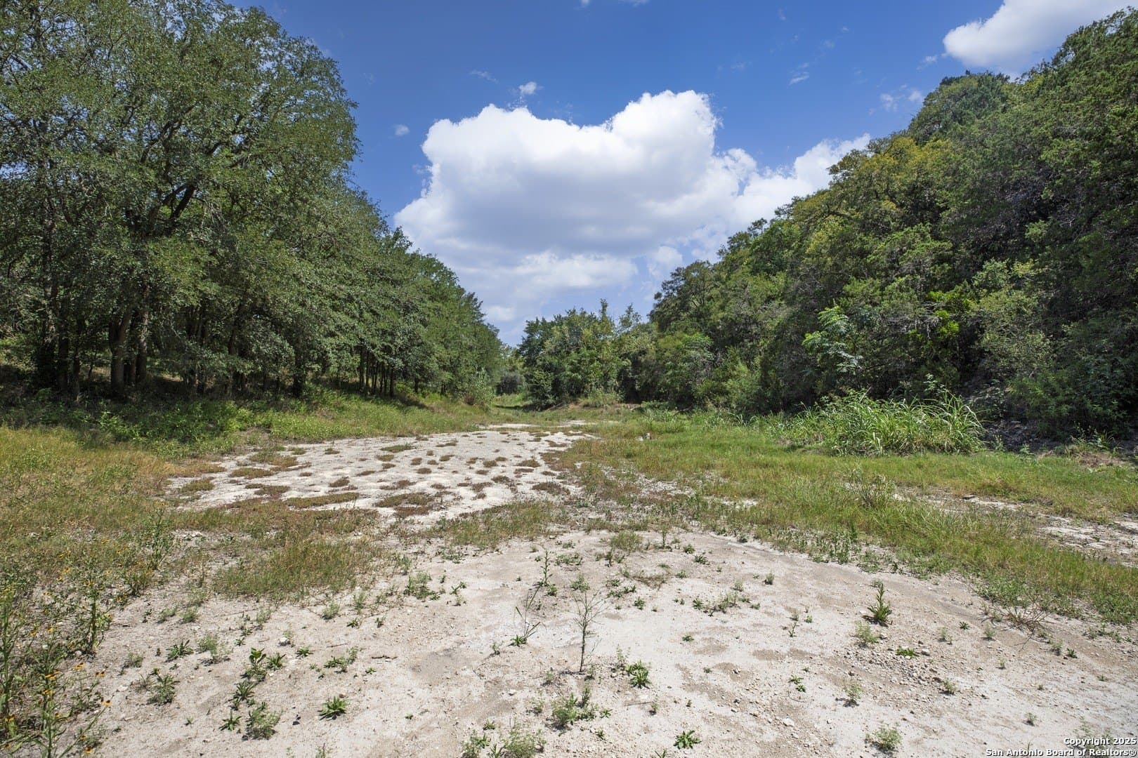 17.6 acres in Bexar County - photo 19