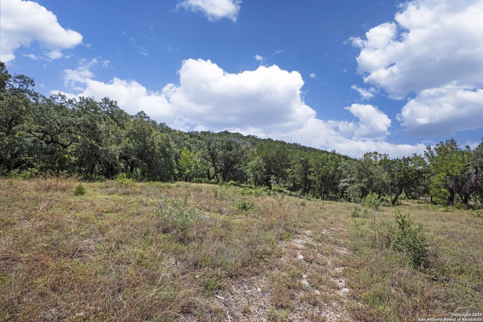17.6 acres in Bexar County - photo 21