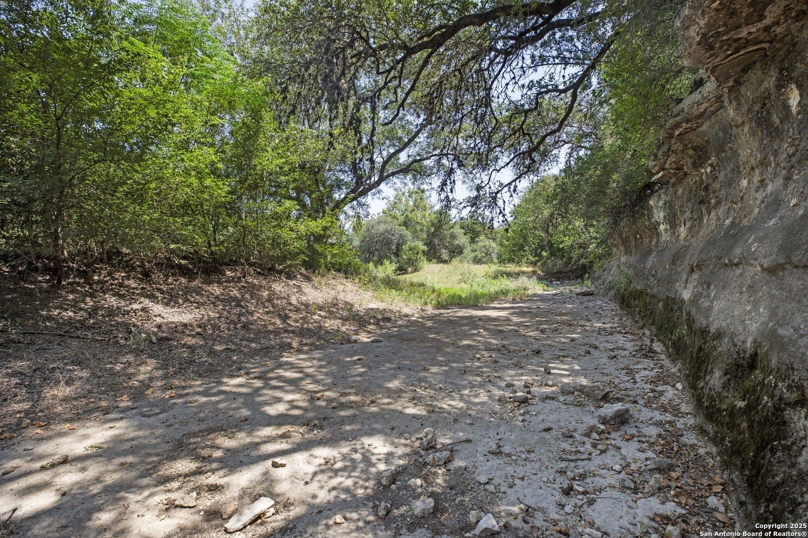 17.6 acres in Bexar County - photo 17