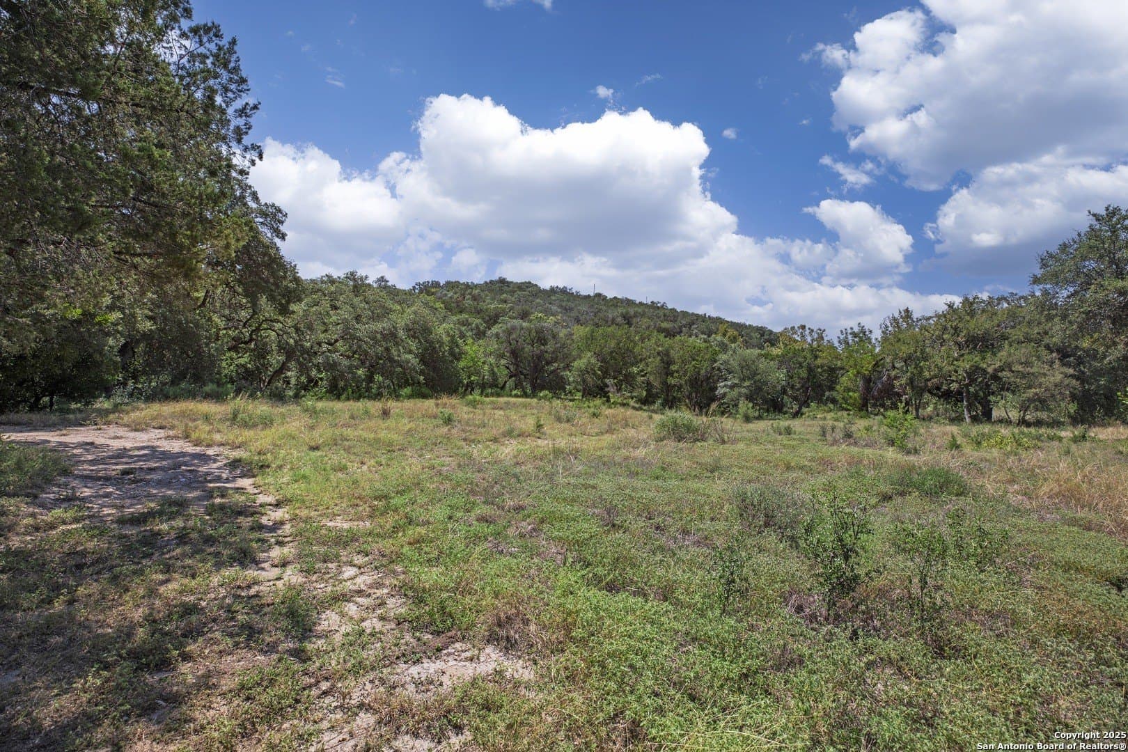 17.6 acres in Bexar County - photo 10