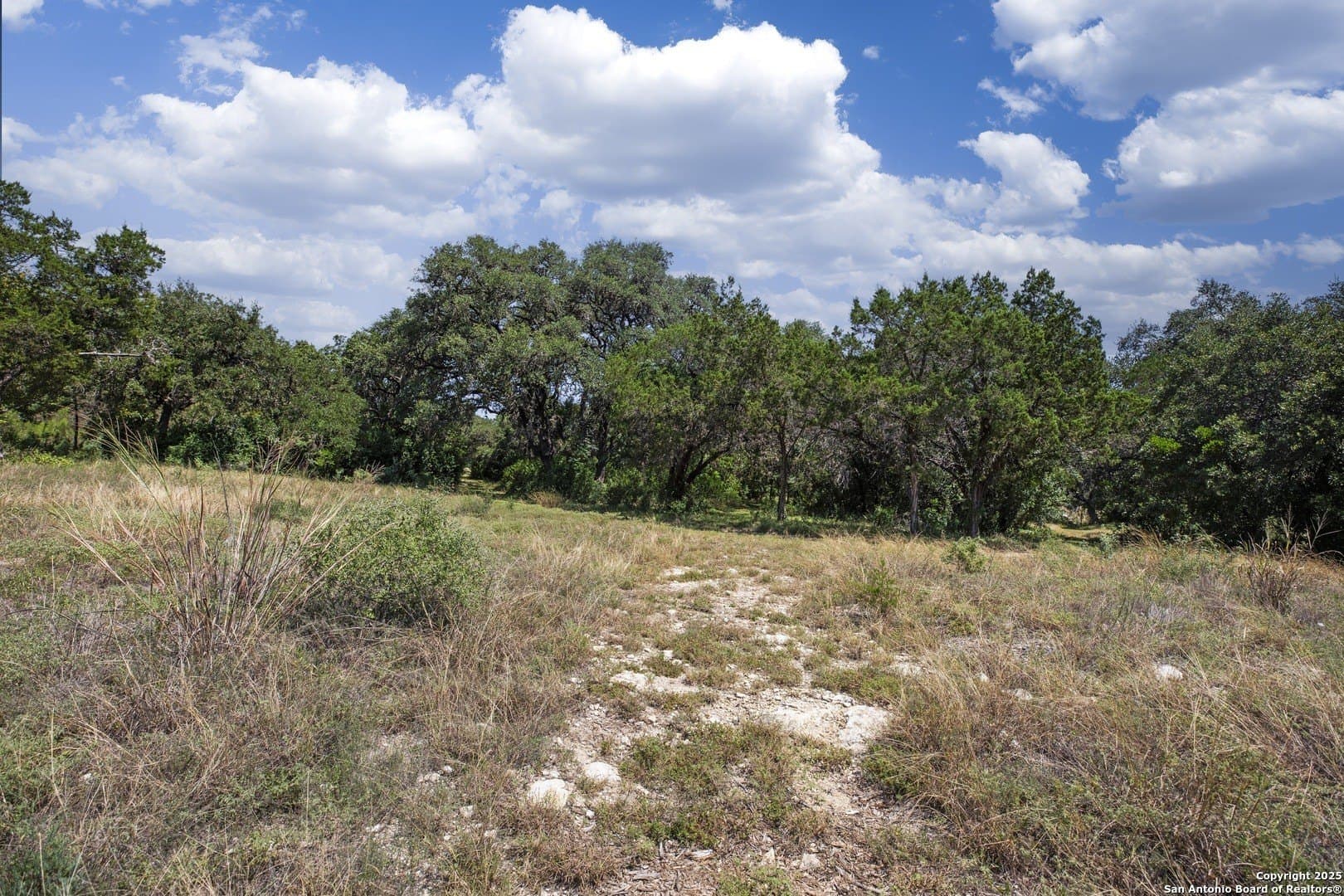 17.6 acres in Bexar County - photo 22