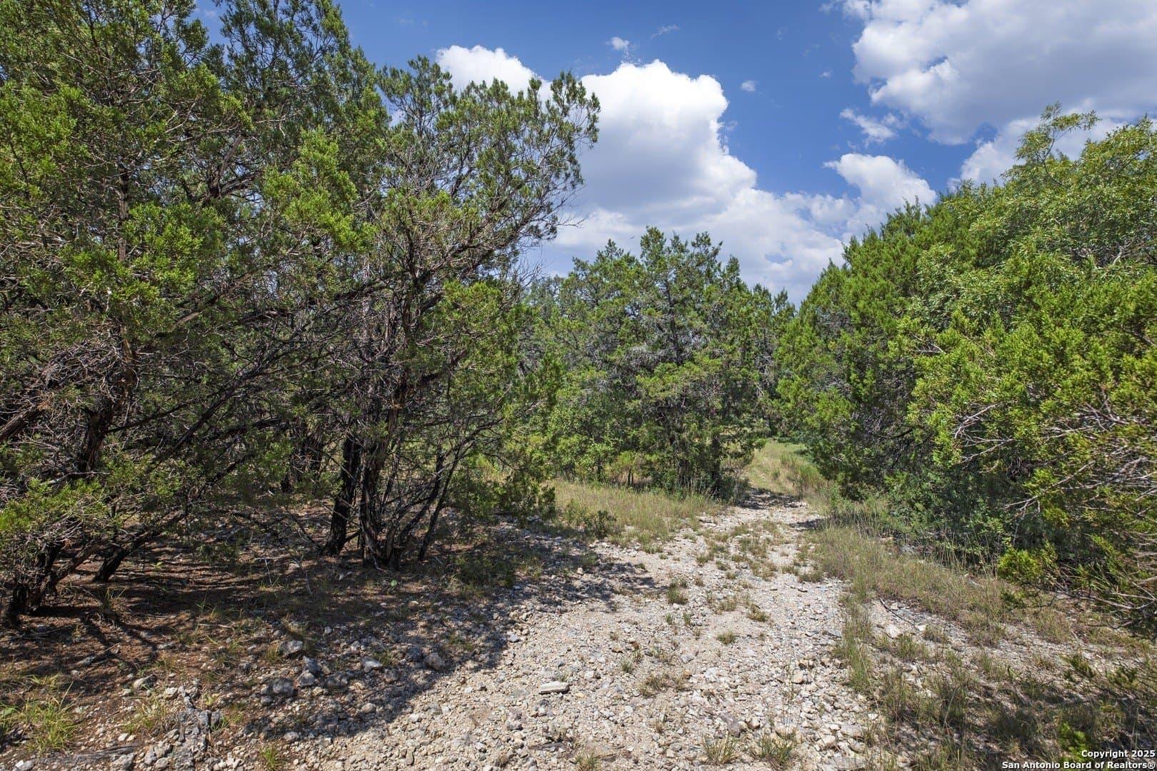 17.6 acres in Bexar County - photo 12