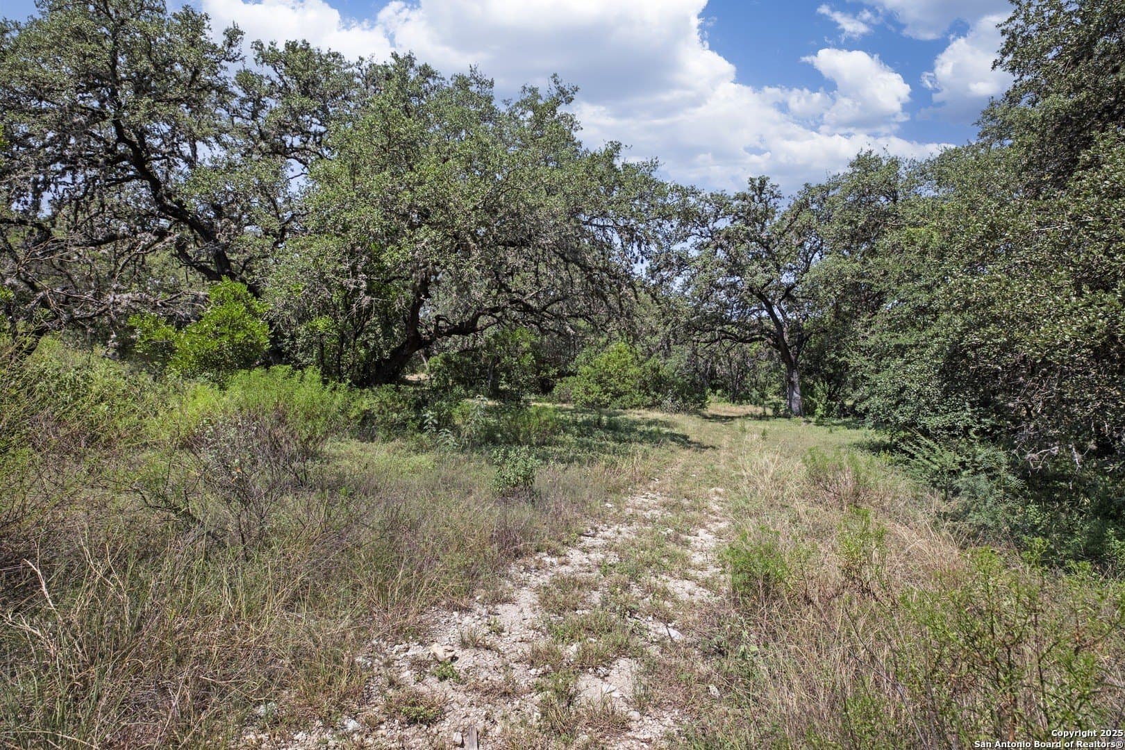 17.6 acres in Bexar County - photo 13