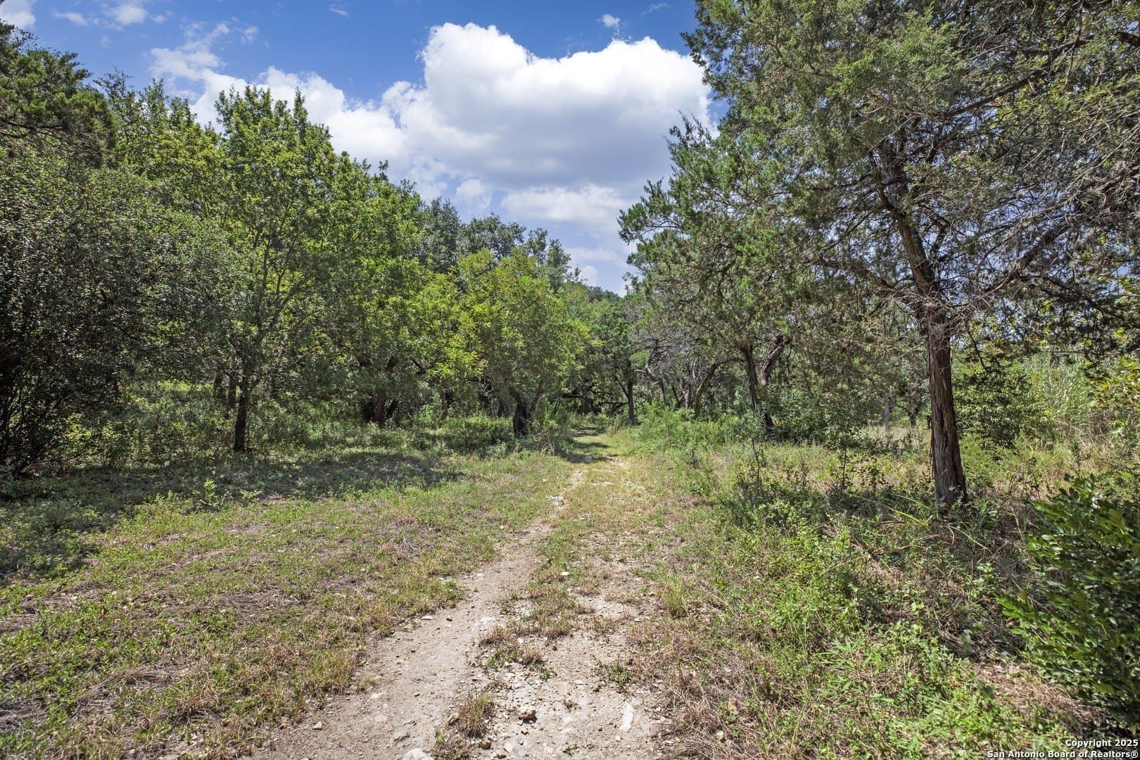 17.6 acres in Bexar County - photo 23