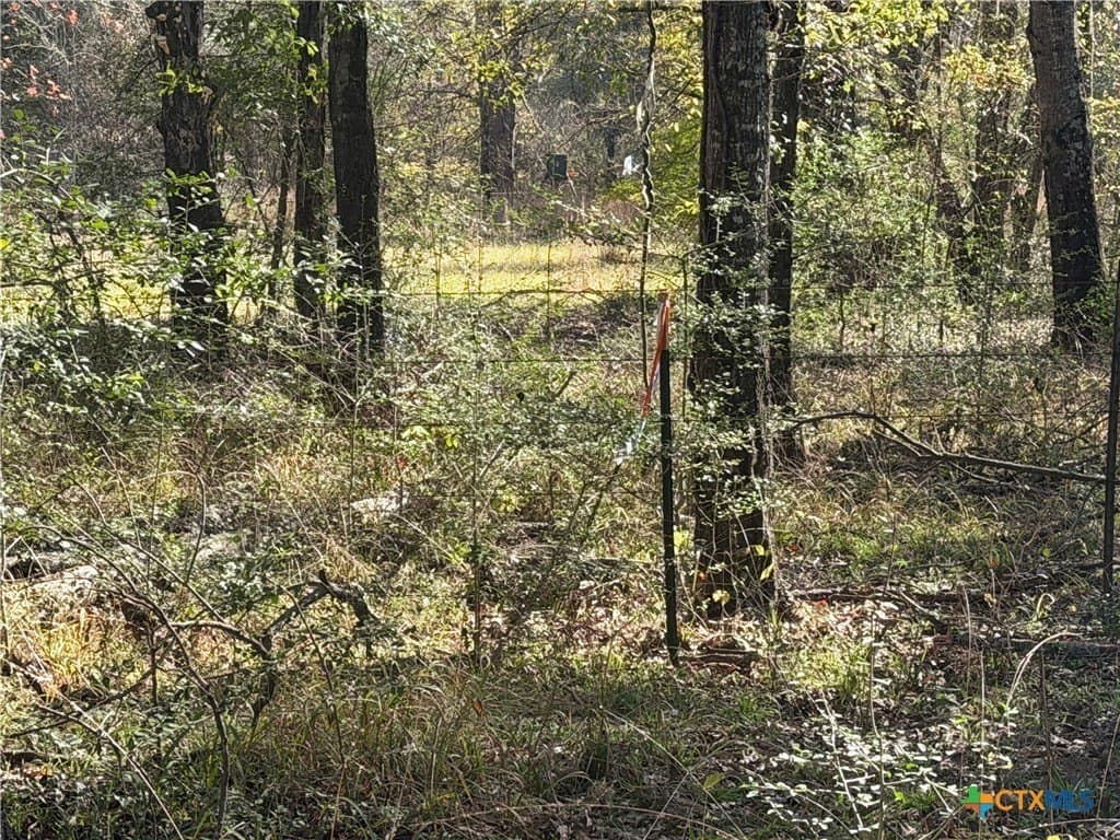 2.17 acres in Freestone County - photo 6