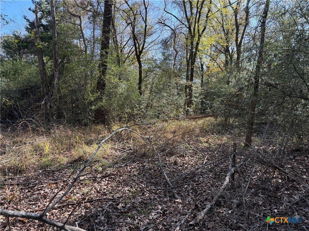 2.17 acres in Freestone County featured view
