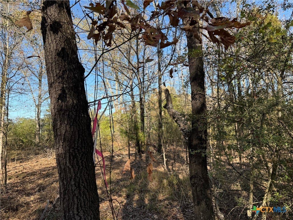 2.17 acres in Freestone County - photo 9