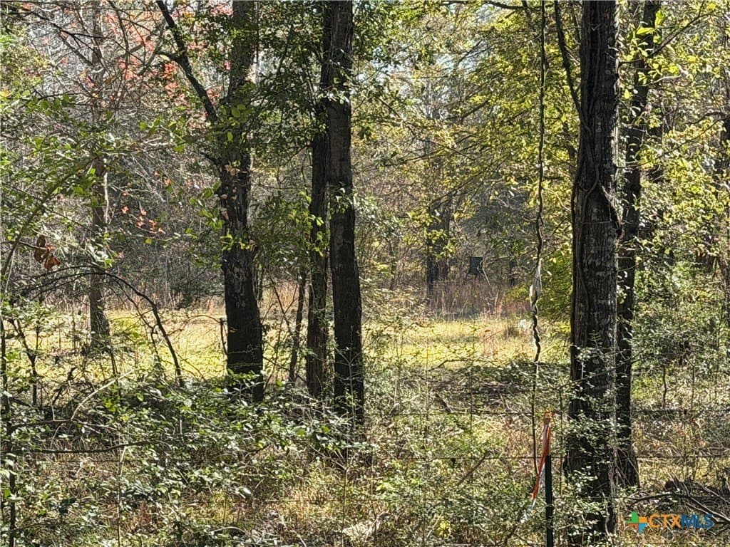 2.17 acres in Freestone County - photo 8