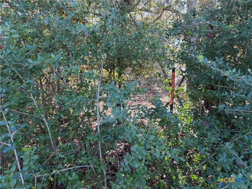 2.17 acres in Freestone County - photo 7