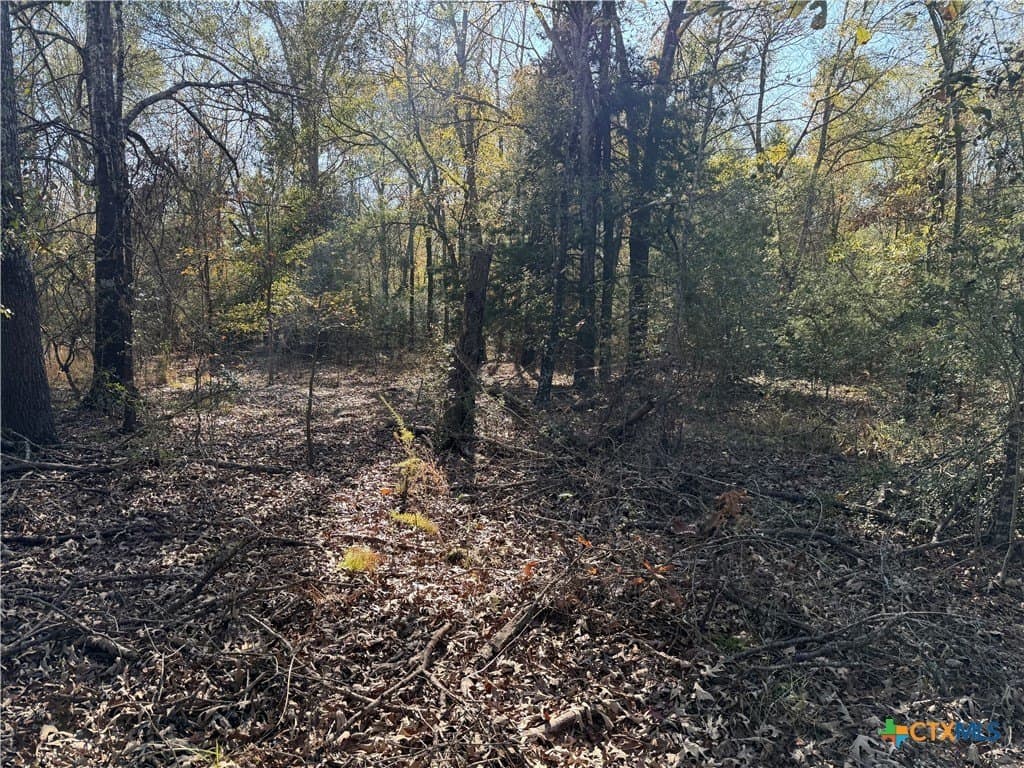 2.17 acres in Freestone County - photo 11