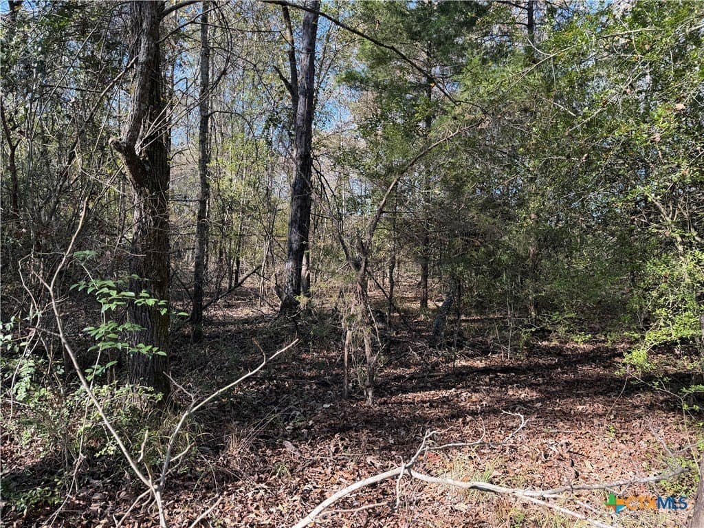 2.17 acres in Freestone County