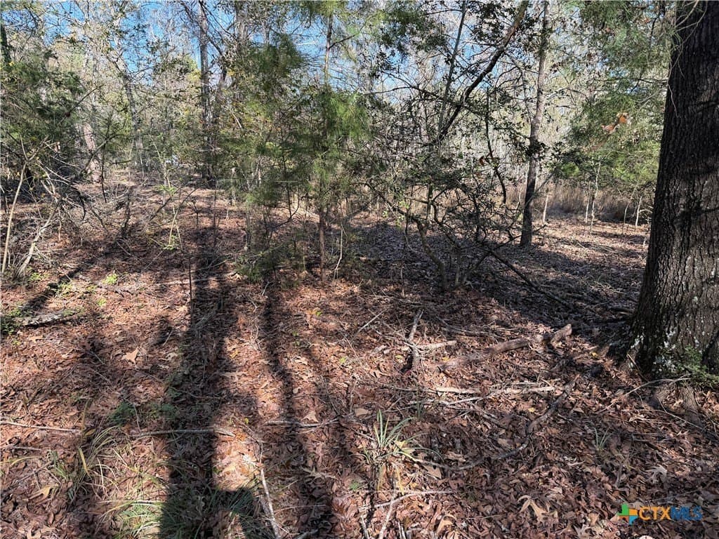 2.17 acres in Freestone County - photo 10