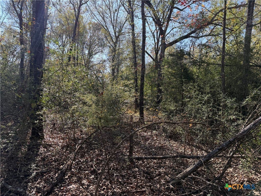 2.17 acres in Freestone County gallery image 2