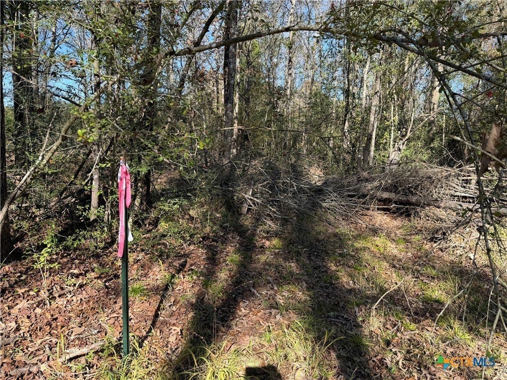 2.17 acres in Freestone County gallery image 3