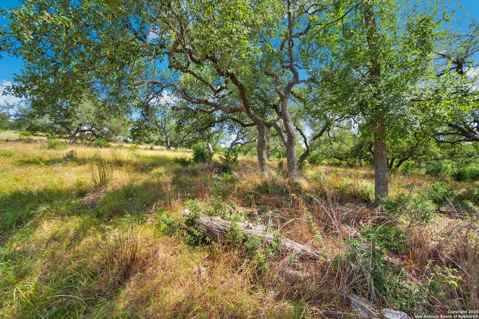 3.33 acres in Comal County - photo 16