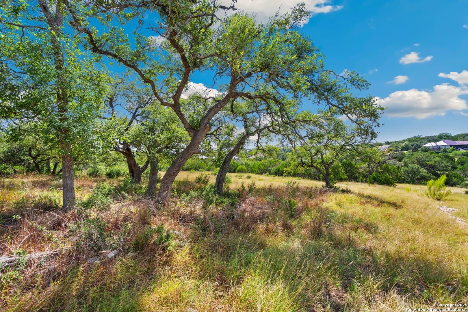 3.33 acres in Comal County - photo 15
