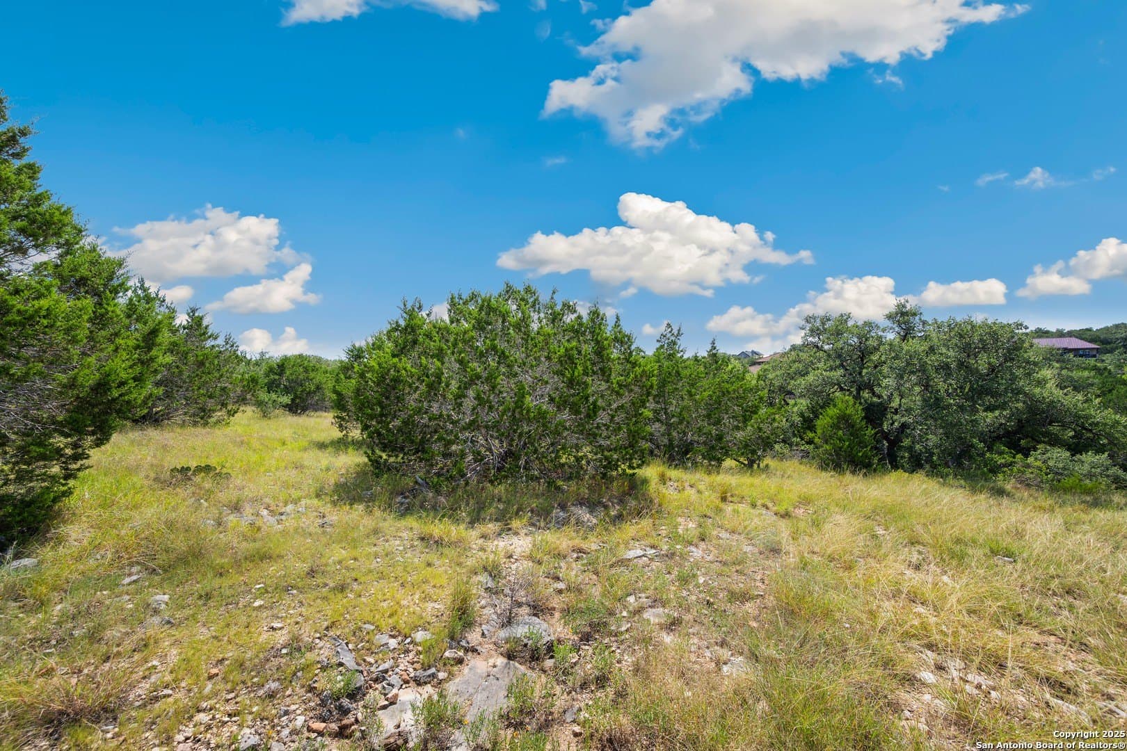 3.33 acres in Comal County - photo 14