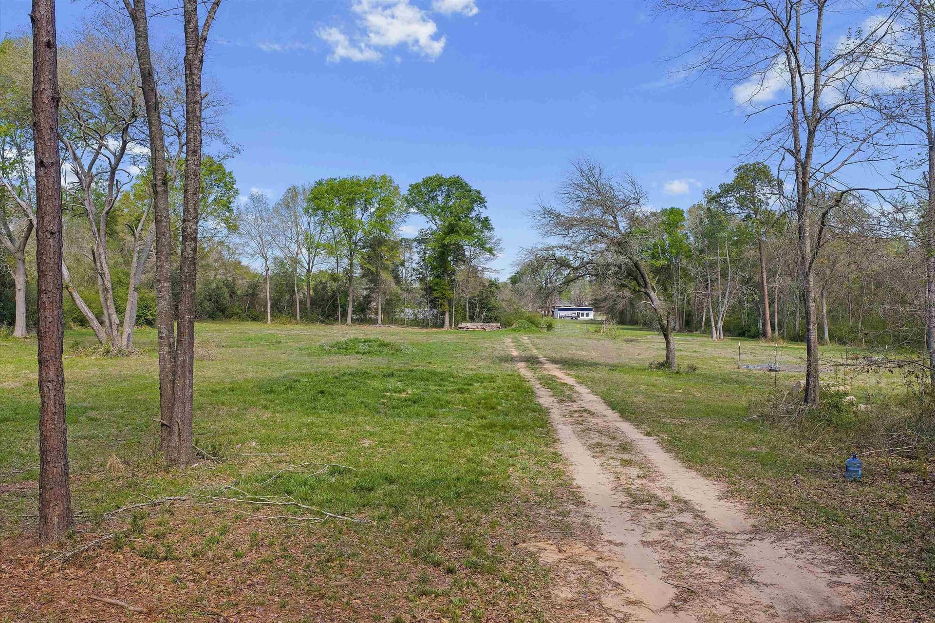 9.38 acres in Texas County gallery image 4