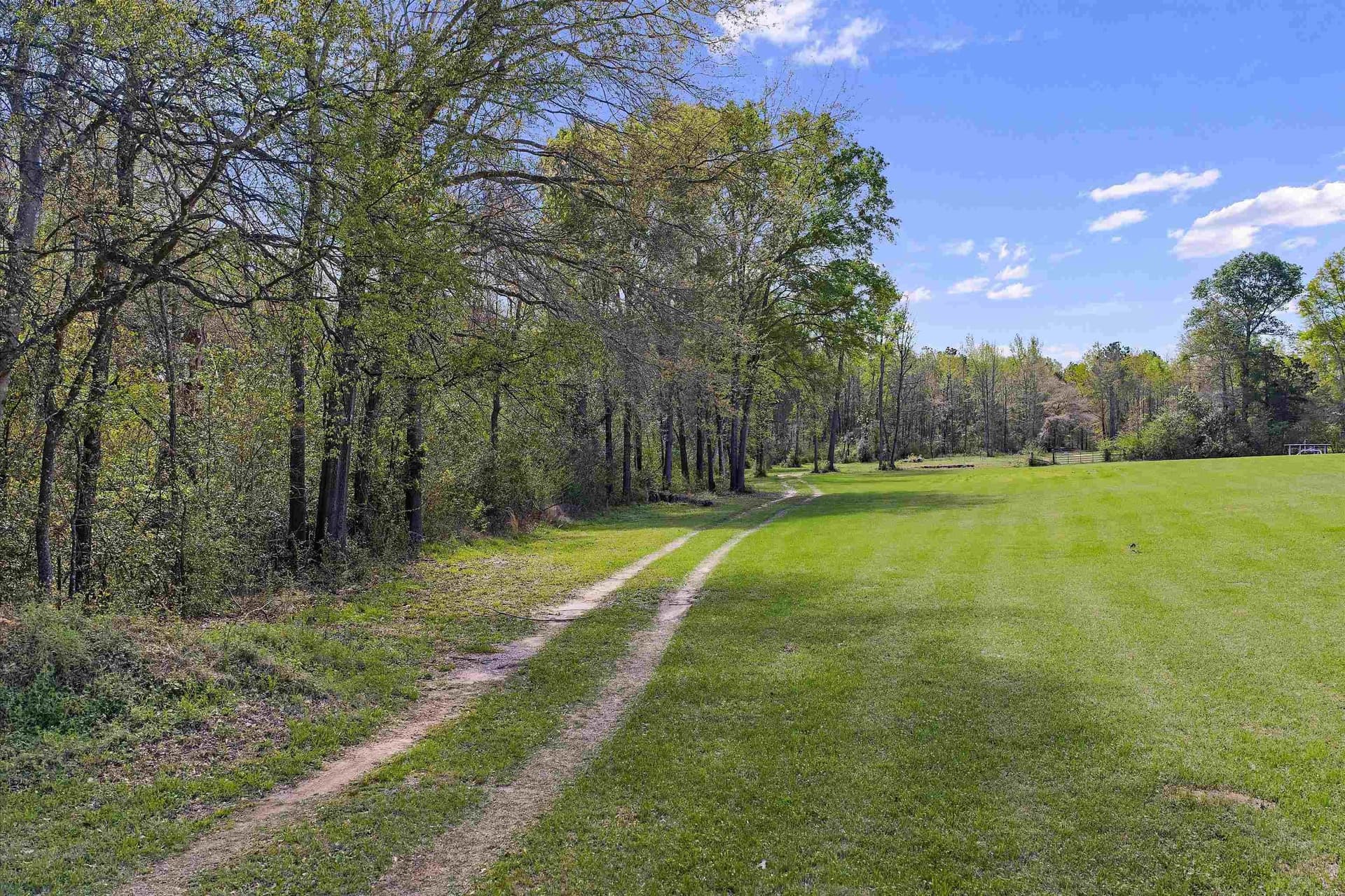 9.38 acres in Texas County gallery image 3