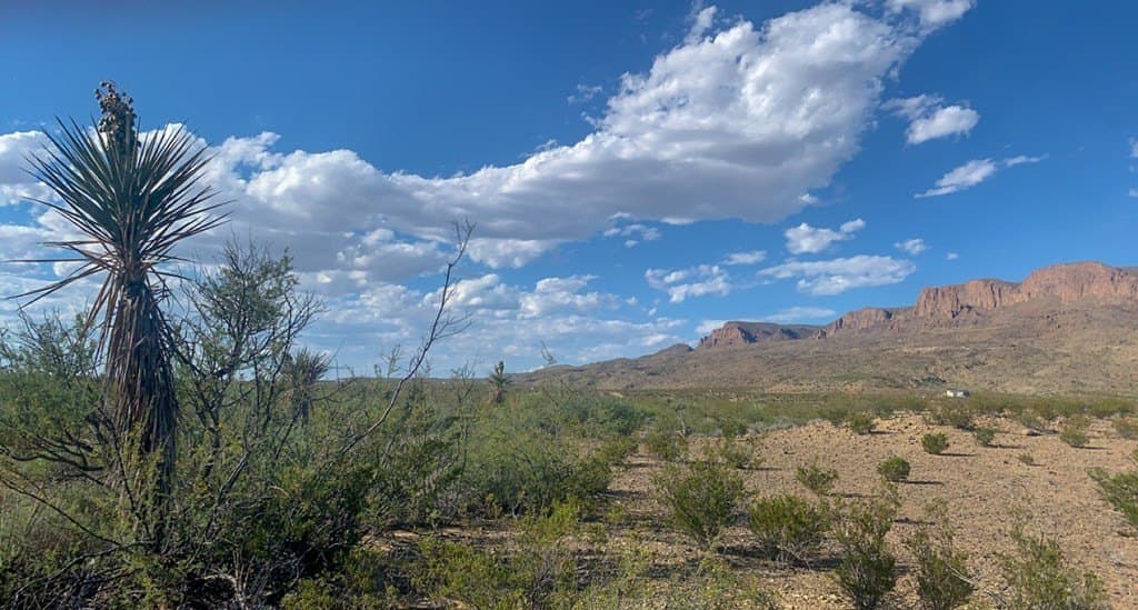 5 acres in Brewster County gallery image 3