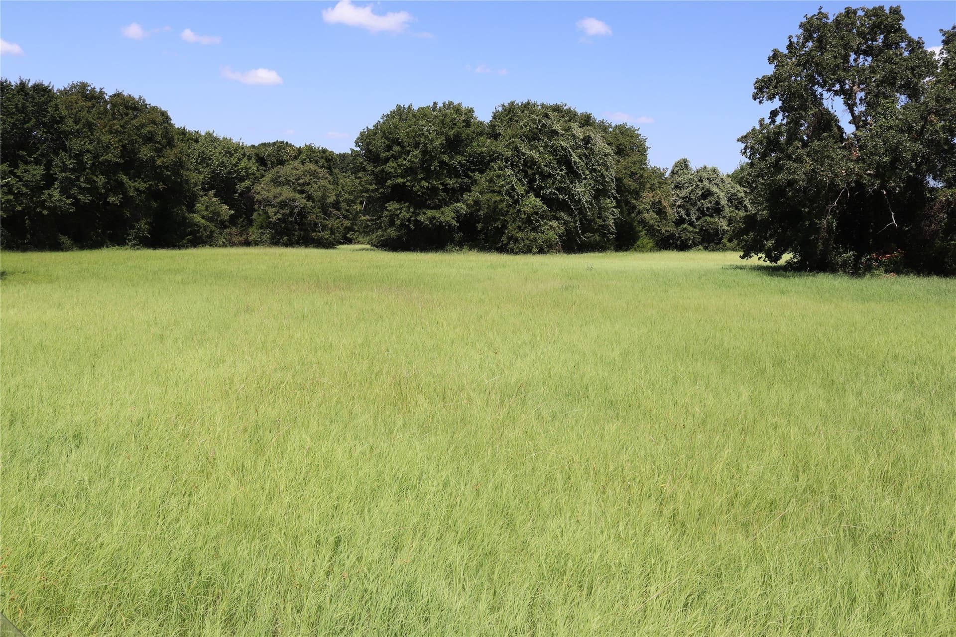 36 acres in Montague County - photo 5