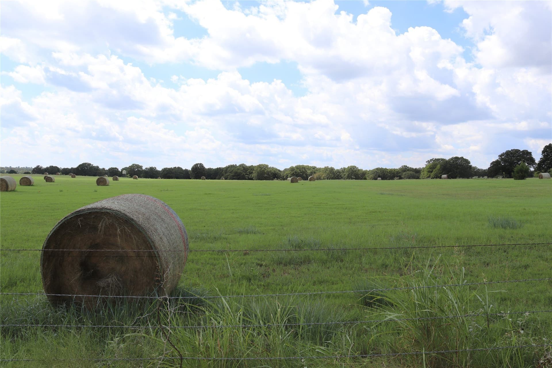 36 acres in Montague County - photo 2