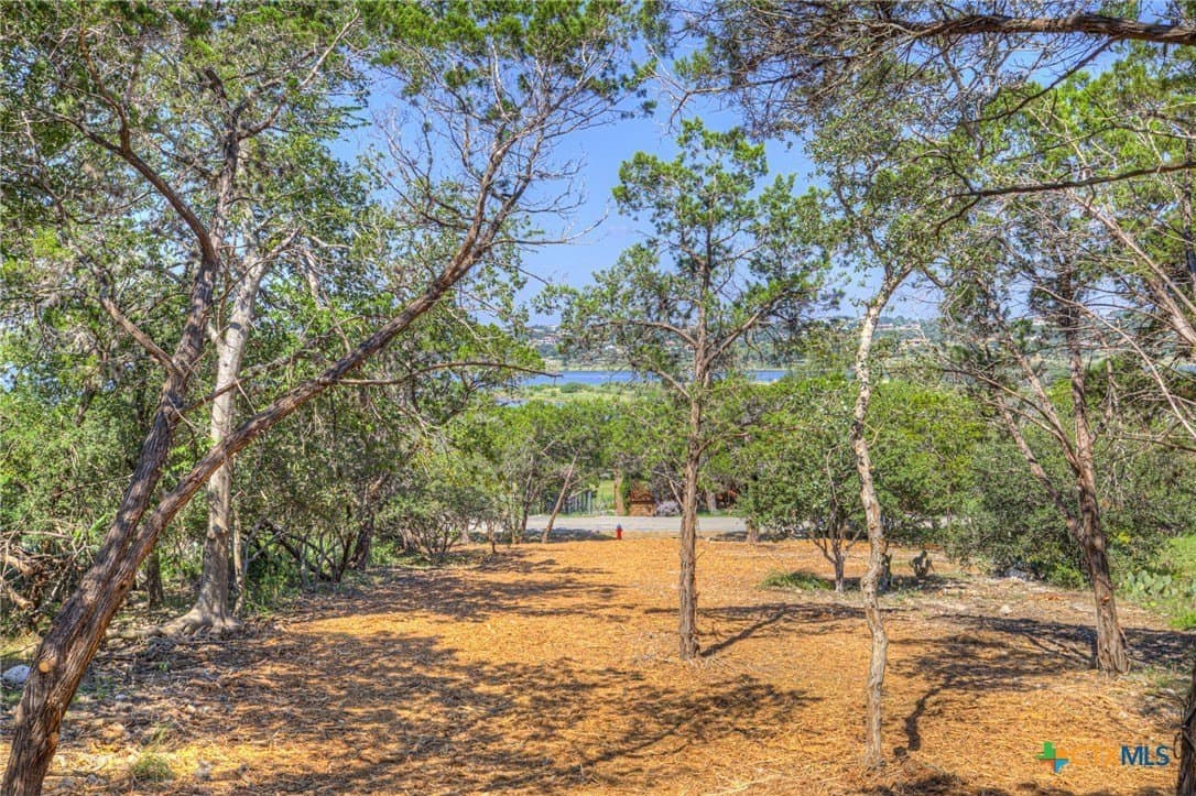 0.39 acres in Comal County gallery image 3