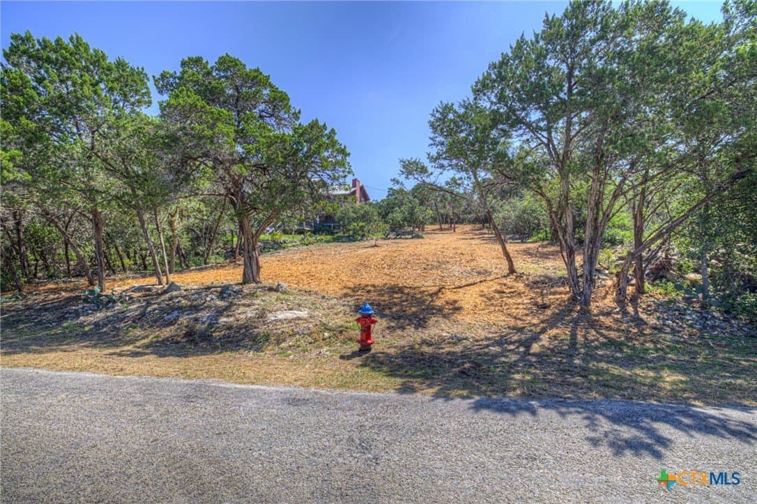 0.39 acres in Comal County gallery image 2