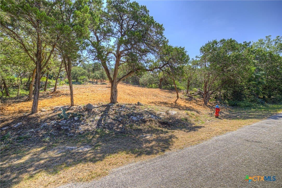0.39 acres in Comal County gallery image 4