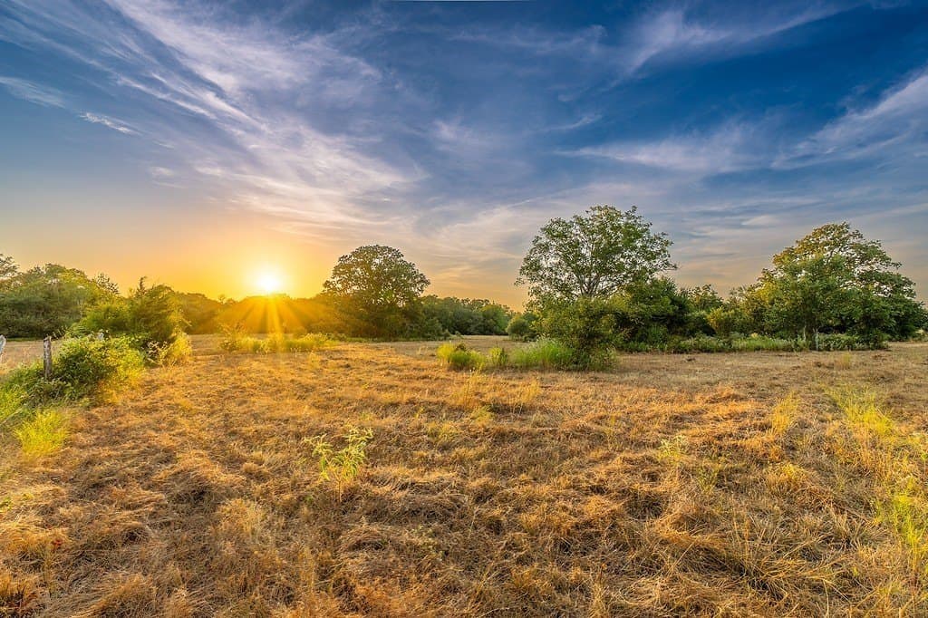 11 acres in Fayette County - photo 10