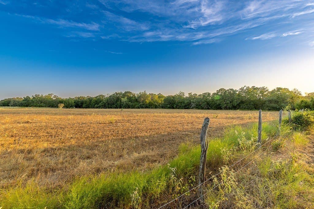 11 acres in Fayette County - photo 11