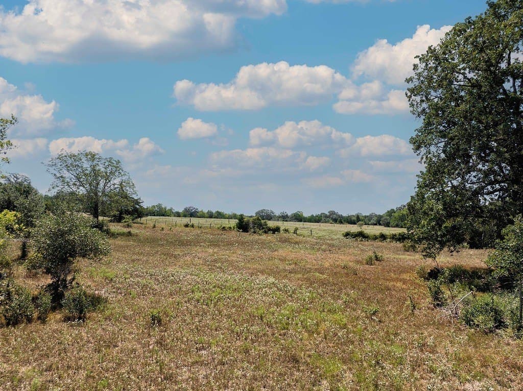 11 acres in Fayette County - photo 18