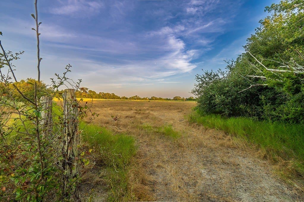 11 acres in Fayette County - photo 13