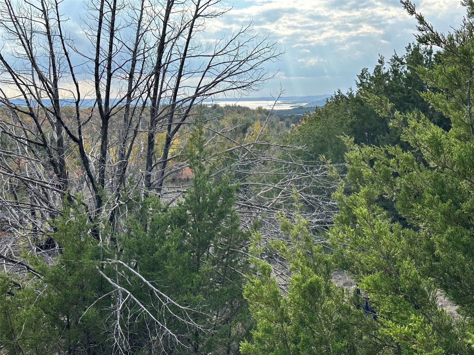2.01 acres in Palo Pinto County gallery image 4