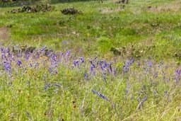 23.03 acres in Kerr County featured view