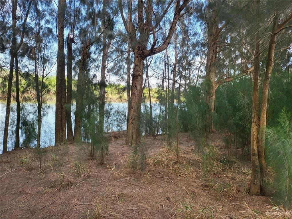 3.47 acres in Cameron County - photo 6