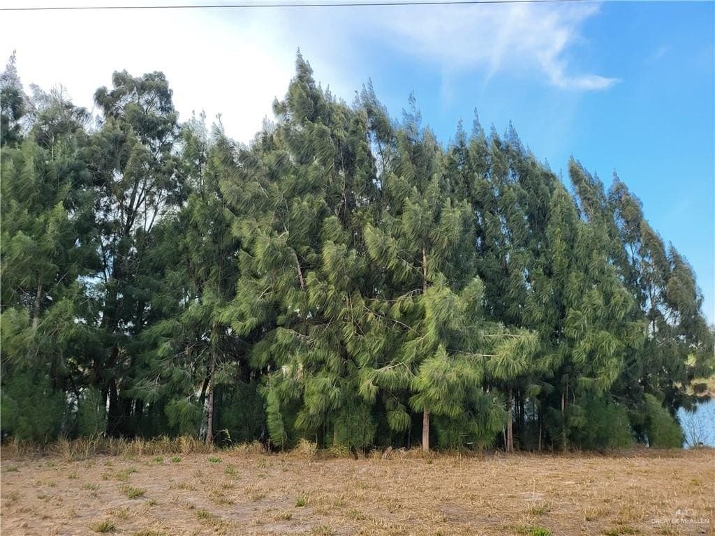 3.47 acres in Cameron County - photo 7
