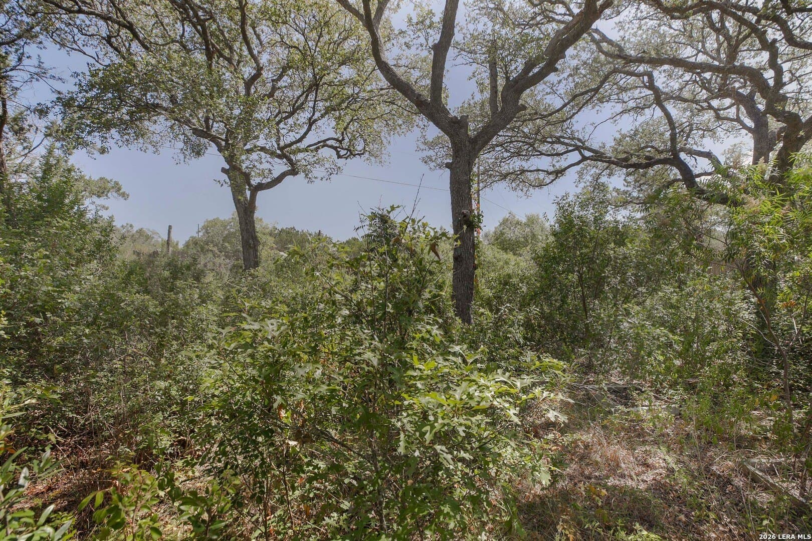 0.2 acres in Blanco County - photo 17