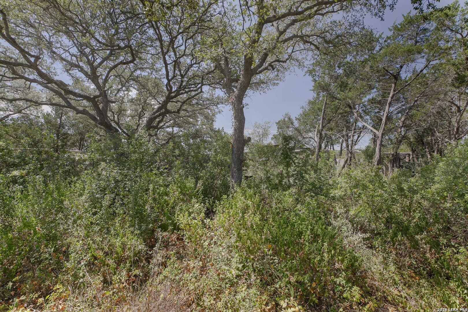0.2 acres in Blanco County - photo 5
