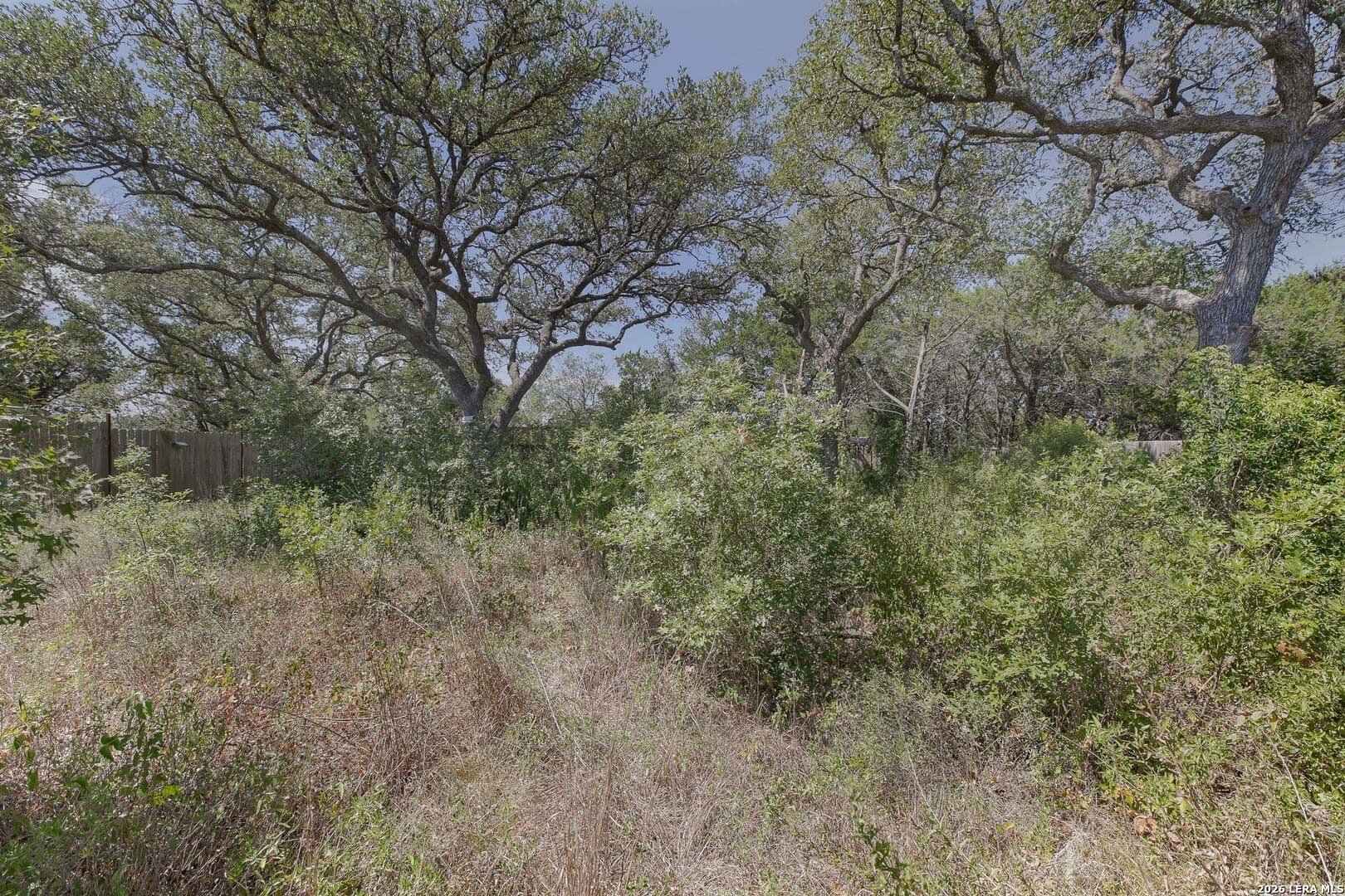 0.2 acres in Blanco County - photo 14
