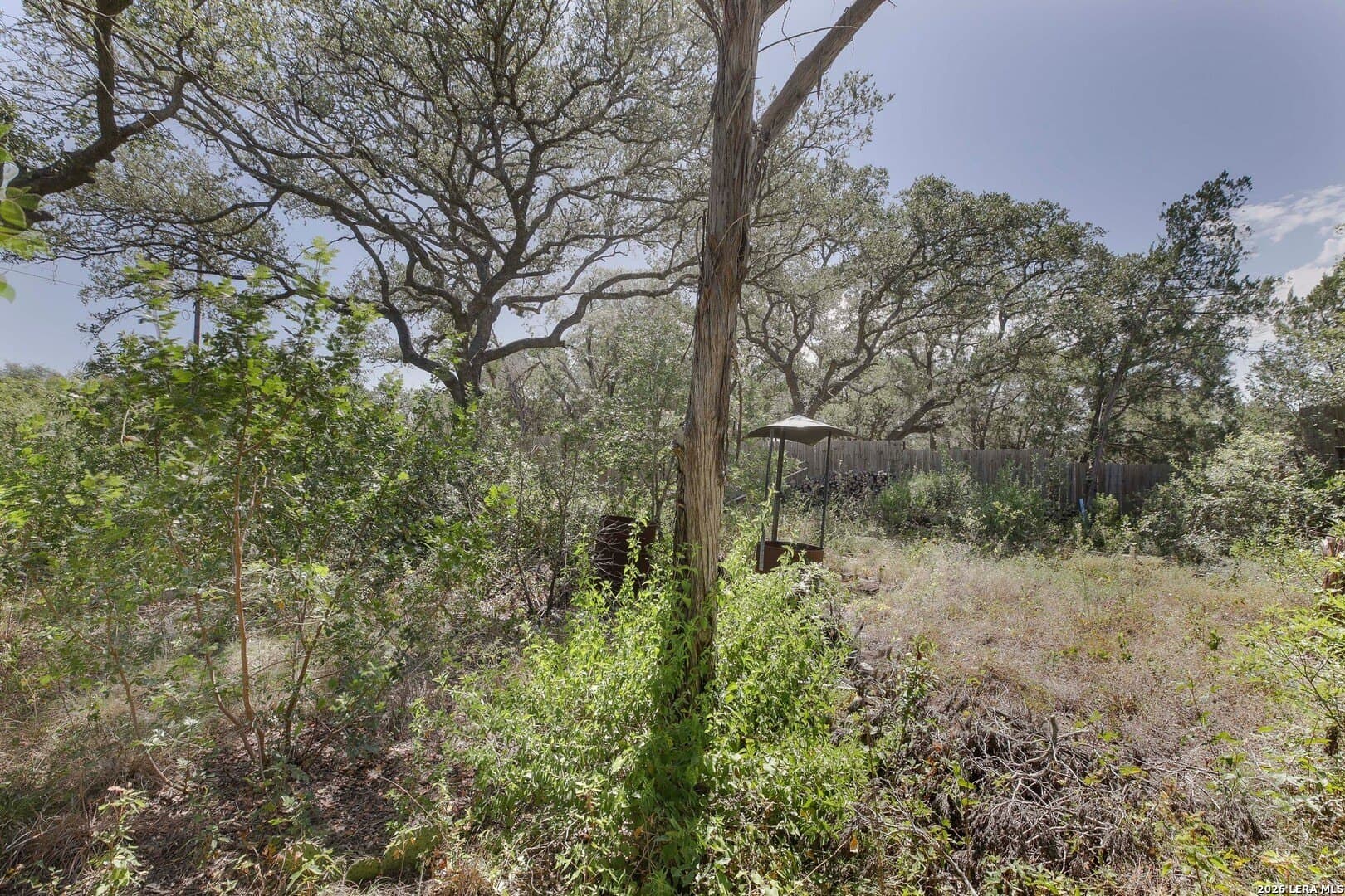 0.2 acres in Blanco County - photo 13