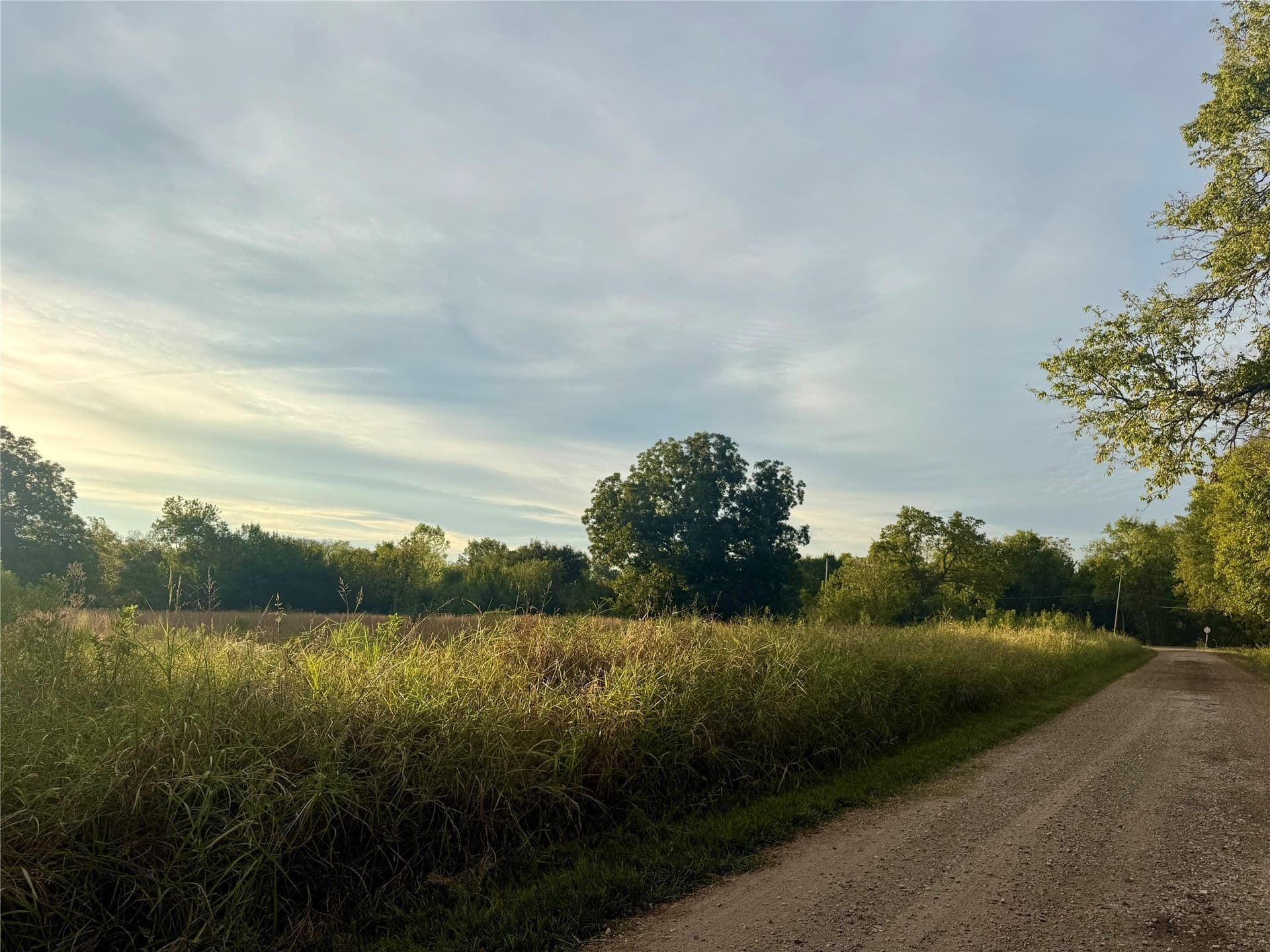 4 acres in Lamar County - photo 4