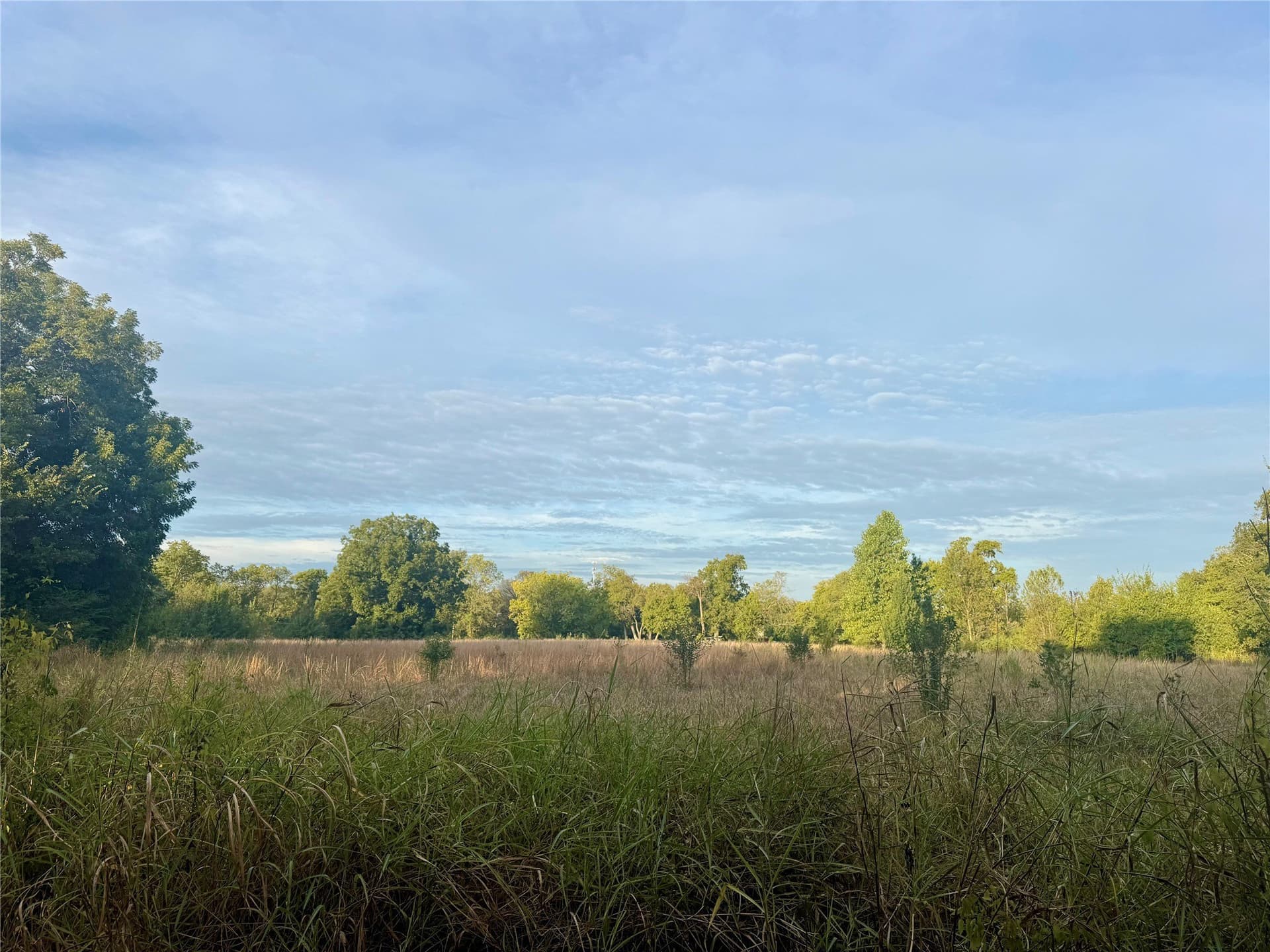 4 acres in Lamar County