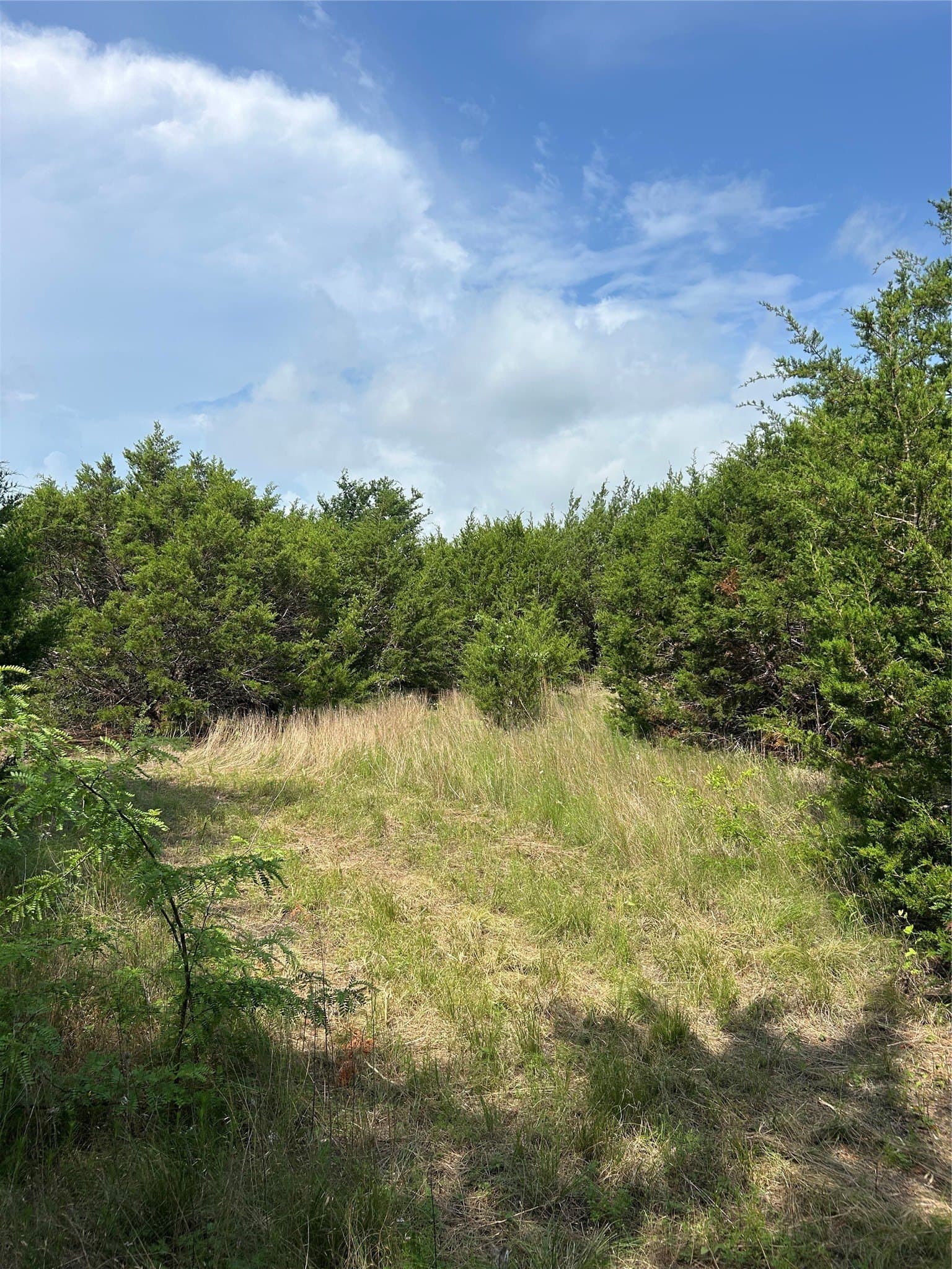 17.6 acres in Johnson County - photo 3