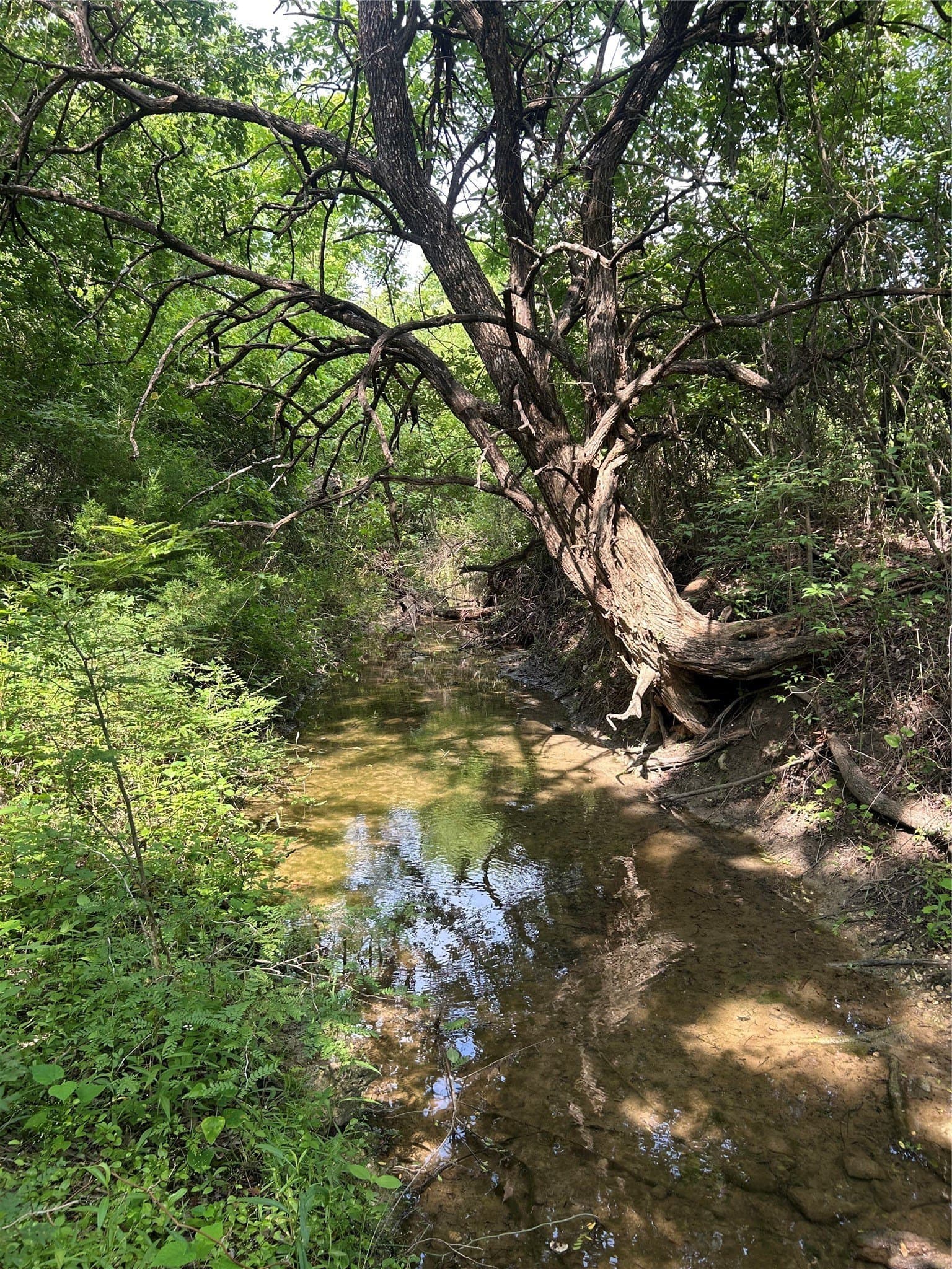 17.6 acres in Johnson County - photo 5