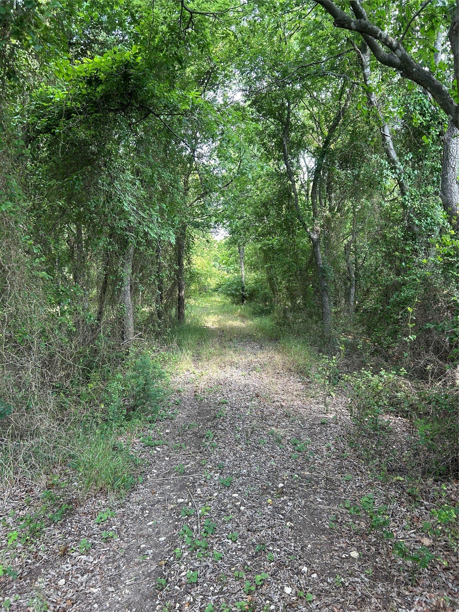 17.6 acres in Johnson County - photo 4